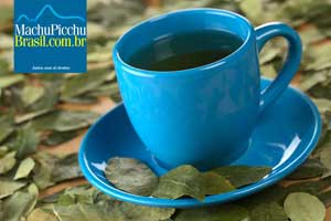 06 Dicas importantes para evitar o Soroche